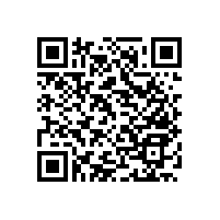 【新款】不銹鋼一字型扶手，花紋多樣可選