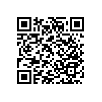 洗手間安全扶手哪種款式“好”【藍(lán)品盾】