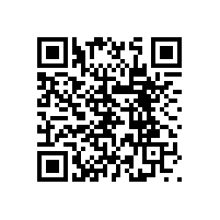 移動(dòng)無(wú)障礙扶手成為“老齡化的必需品”【藍(lán)品盾】