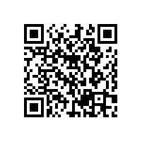 養(yǎng)老院及醫(yī)養(yǎng)機構(gòu)比較重視的無障礙衛(wèi)生間扶手設(shè)置-藍品盾