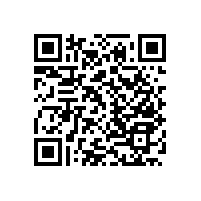 養(yǎng)老院衛(wèi)生間浴盆扶手選擇這款不占空間的吧！