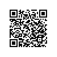 養(yǎng)老院衛(wèi)浴間里的無障礙扶手施工方案-藍品盾