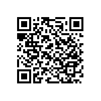 浴室不銹鋼直角扶手