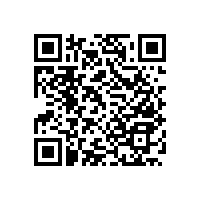 浴室老人扶手/結(jié)實(shí)便利【藍(lán)品盾】