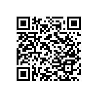 醫(yī)用扶手不一樣的風格【藍品盾】