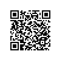 醫(yī)用護(hù)墻扶手的高檔款式【藍(lán)品盾】