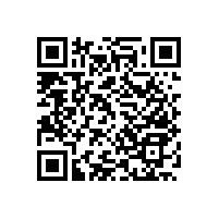 醫(yī)院靠墻扶手批發(fā)廠家直銷(xiāo)【藍(lán)品盾】