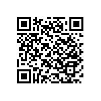 醫(yī)用靠墻塑料扶手當裝飾也不錯哦！