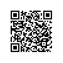 醫(yī)院入墻式木扶手采用哪些材質(zhì)？【藍(lán)品盾】