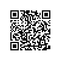 醫(yī)院衛(wèi)生間防滑扶手避免安全隱患的武器【藍(lán)品盾】