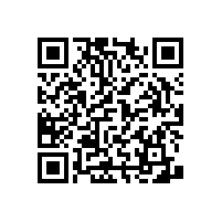 醫(yī)院衛(wèi)生間防滑扶手實(shí)用又簡潔【藍(lán)品盾】