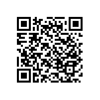 醫(yī)院衛(wèi)生間扶手簡約耐用【藍品盾】