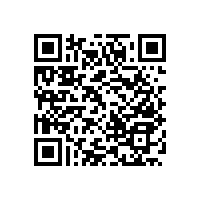 醫(yī)院無障礙扶手可定制款式！【藍(lán)品盾】