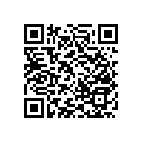 醫(yī)用無障礙防撞扶手哪些比較實用【藍(lán)品盾】