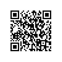 醫(yī)院、養(yǎng)老院、福利院的室內(nèi)衛(wèi)生間無障礙扶手-藍(lán)品盾