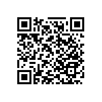 醫(yī)院、養(yǎng)老院衛(wèi)生間里的好物推薦-鄭州產(chǎn)的殘疾人扶手【藍(lán)品盾】