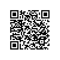 一字衛(wèi)浴扶手日常防滑小助手【藍(lán)品盾】