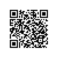 一字型衛(wèi)浴扶手，穩(wěn)定的抓握感更讓人安心【藍品盾】