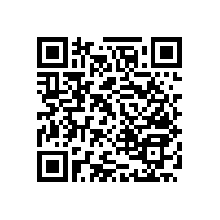 障礙衛(wèi)生間扶手哪里需要安裝？【藍品盾】