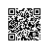 坐便器旁邊墻上扶手的N多種選擇【藍品盾】