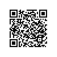 珠海市級養(yǎng)老機構(gòu)-L35實木扶手【藍品盾】