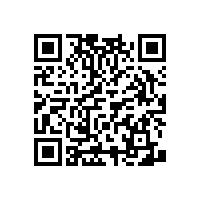 助力老人晚年生活-折疊靠墻無(wú)障礙扶手【藍(lán)品盾】