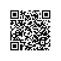 專用醫(yī)用扶手使用起來更舒適【藍(lán)品盾】