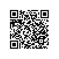 怎樣做衛(wèi)生間內(nèi)的防護(hù)？廁所老人扶手【藍(lán)品盾】