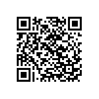 记皖南电机参加第四届安徽省人民政府质量奖评选始末