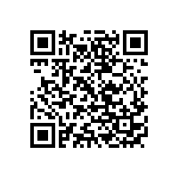 皖南电机党委召开民主生活会