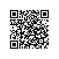 韶關新豐縣建筑模板木方廠家