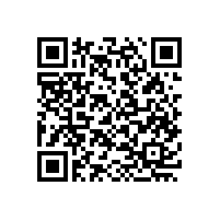 段染紗的應(yīng)用領(lǐng)域有哪些？1100余種工藝設(shè)計(jì)方案供你選擇【齊榮煊】