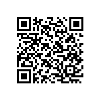 纖維帶銀絲的紗線哪里找？別樣銀絲紗閃亮亮【齊榮煊】