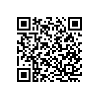銀絲段彩紗合2為1的設(shè)計(jì)方案，虧你想的出【齊榮煊】