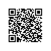 螺絲廠家告訴你非標(biāo)螺絲定做起訂量是多少？世世通打樣10粒起訂！