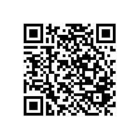 浙江國檢檢測技術(shù)股份有限公司 關(guān)于審計(jì)整改結(jié)果情況的公告
