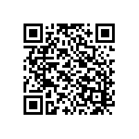 車(chē)庫使用的雙刷盤(pán)洗地機