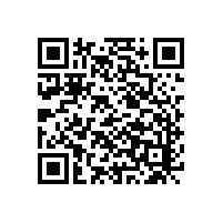 國內電動(dòng)清掃車(chē)廠(chǎng)家