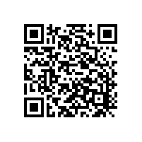 國內電動(dòng)掃地機