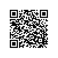 機場(chǎng)用迷你掃路車(chē)