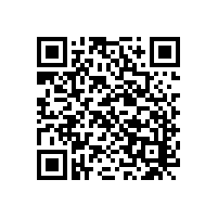 駕駛掃地車(chē)整容式清掃