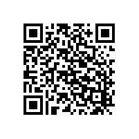 掃地車(chē)新年價(jià)