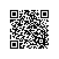 掃地機能不能清掃落葉