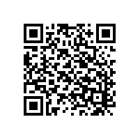 雙刷盤(pán)電動(dòng)洗地機廠(chǎng)家