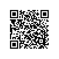 雙刷洗地機工作效果