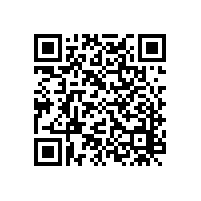 加強環(huán)保治理:東莞一非法經營8年的違建木材廠被依法拆除