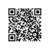 太陽鳥上市之后，毅宏游艇申請掛牌上市