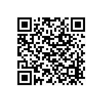 1.6mpa儲氣罐快開手孔標(biāo)準(zhǔn)圖
