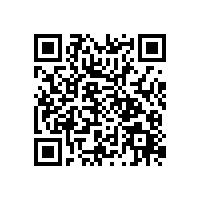 【團康活動】熔煉團隊 超越自我------廣東威遠開展2024年第二季度戶外拓展活動