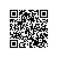 銀箭金屬顏料看國(guó)內(nèi)涂料原材料價(jià)格暴漲背后的深層意義